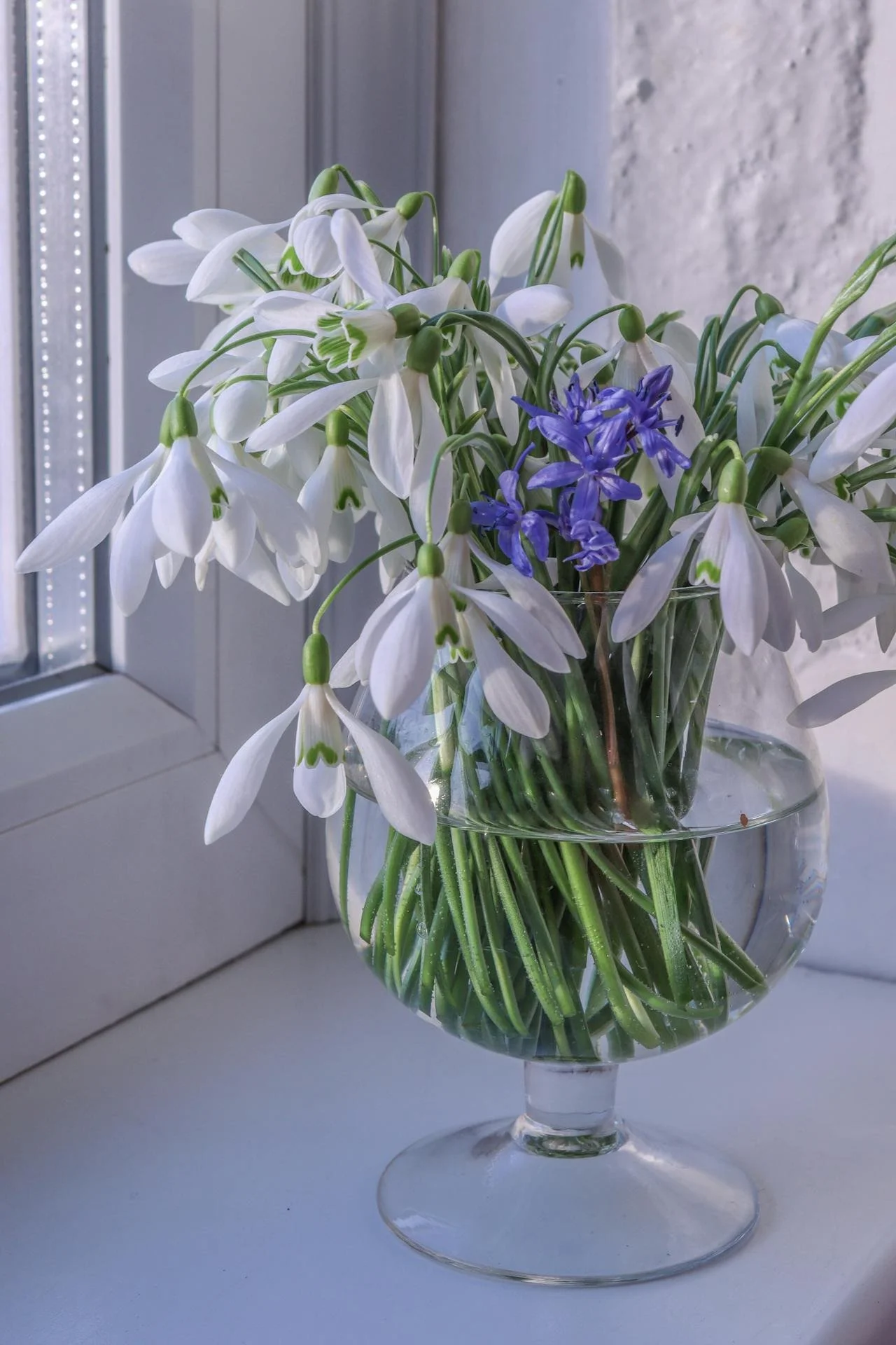 Healy Frequencies for Life Health in your Hands with Healy